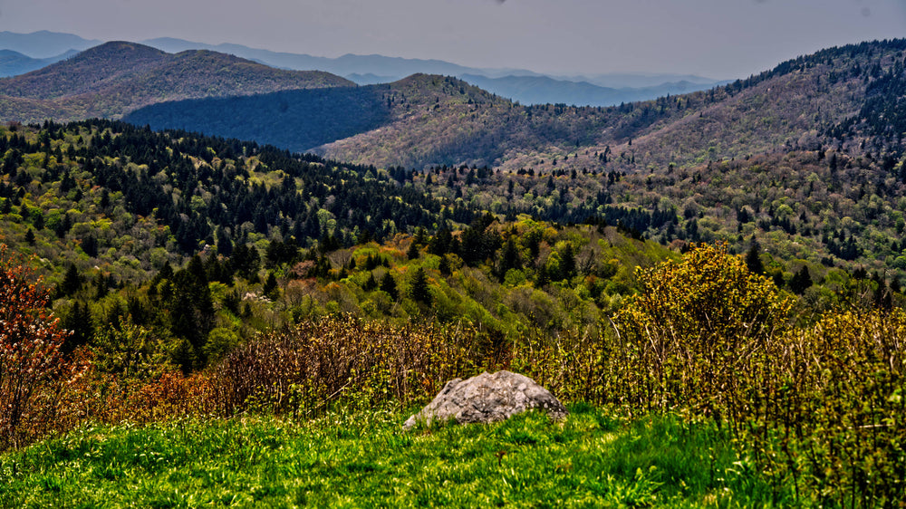Rich Mountain Ridge near Wet Camp Gap, Pisgah National Forest