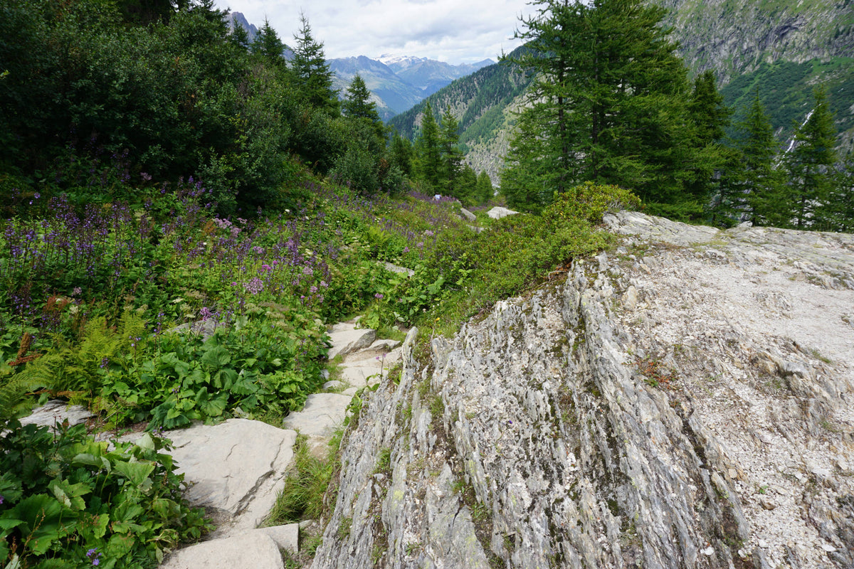Glacier Valley