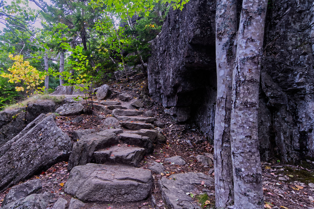 Gorham Mountain Trail Acadia National Park