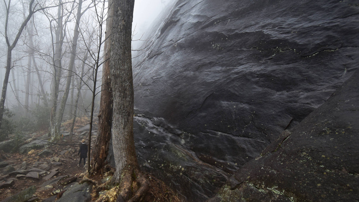 Base of Looking Glass Rock, Pisgah Nat'l Forest