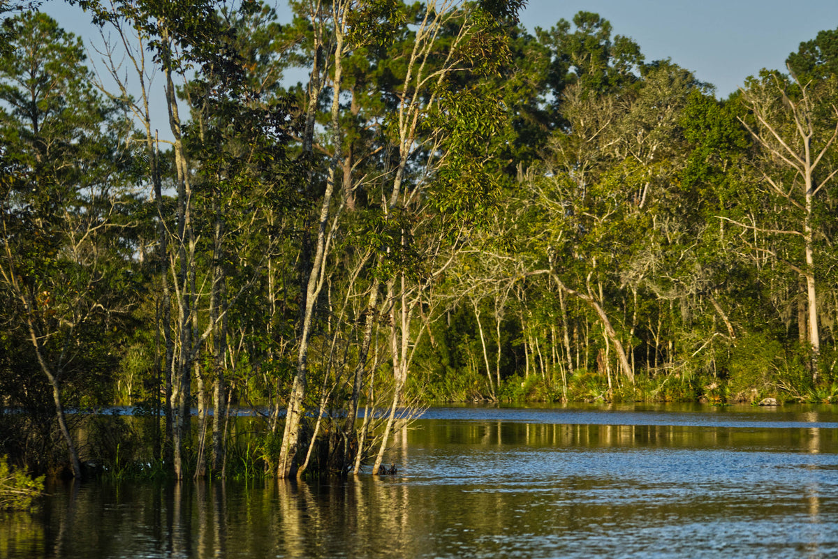 Ortega River, Duval County, Florida