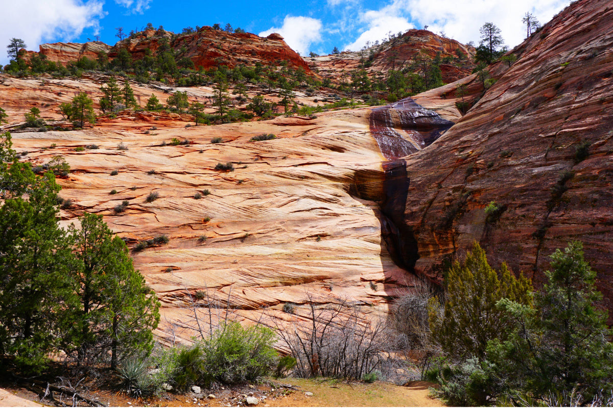 Sedimentary Limestone in Zion National Park