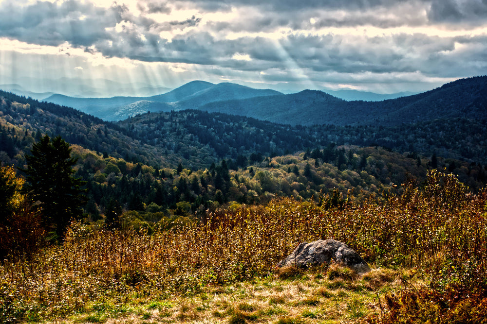 Rich Mountain Bald near Wet Camp Gap, Nantahala Natl. Forest