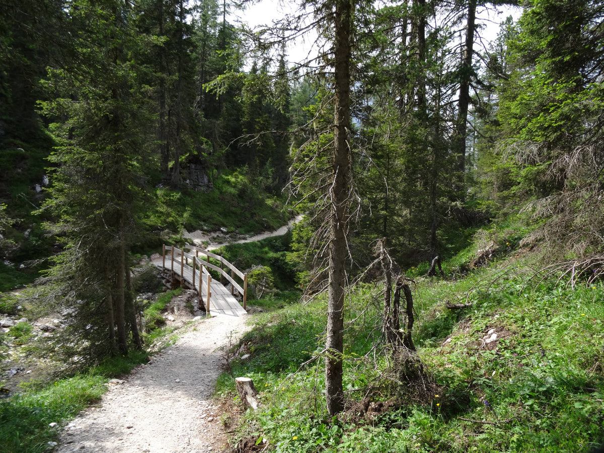 Trail from Lago de Federa, Cortina