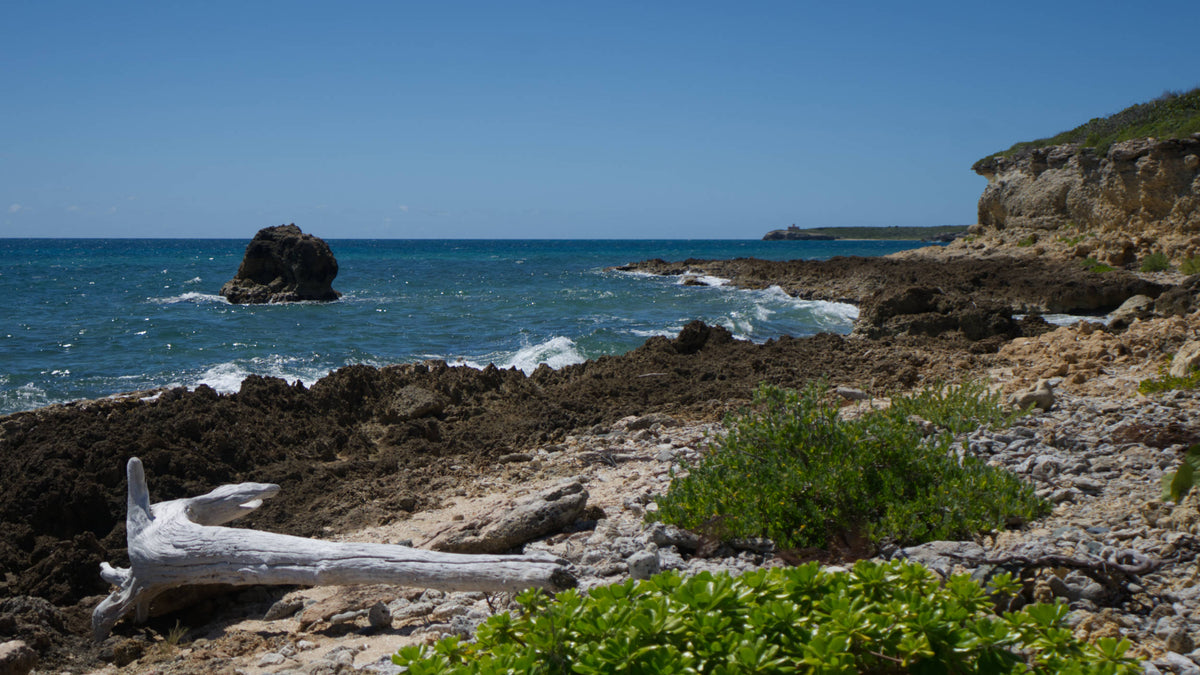 Puerto Ferro Lighthouse, Vieques, Puerto Rico