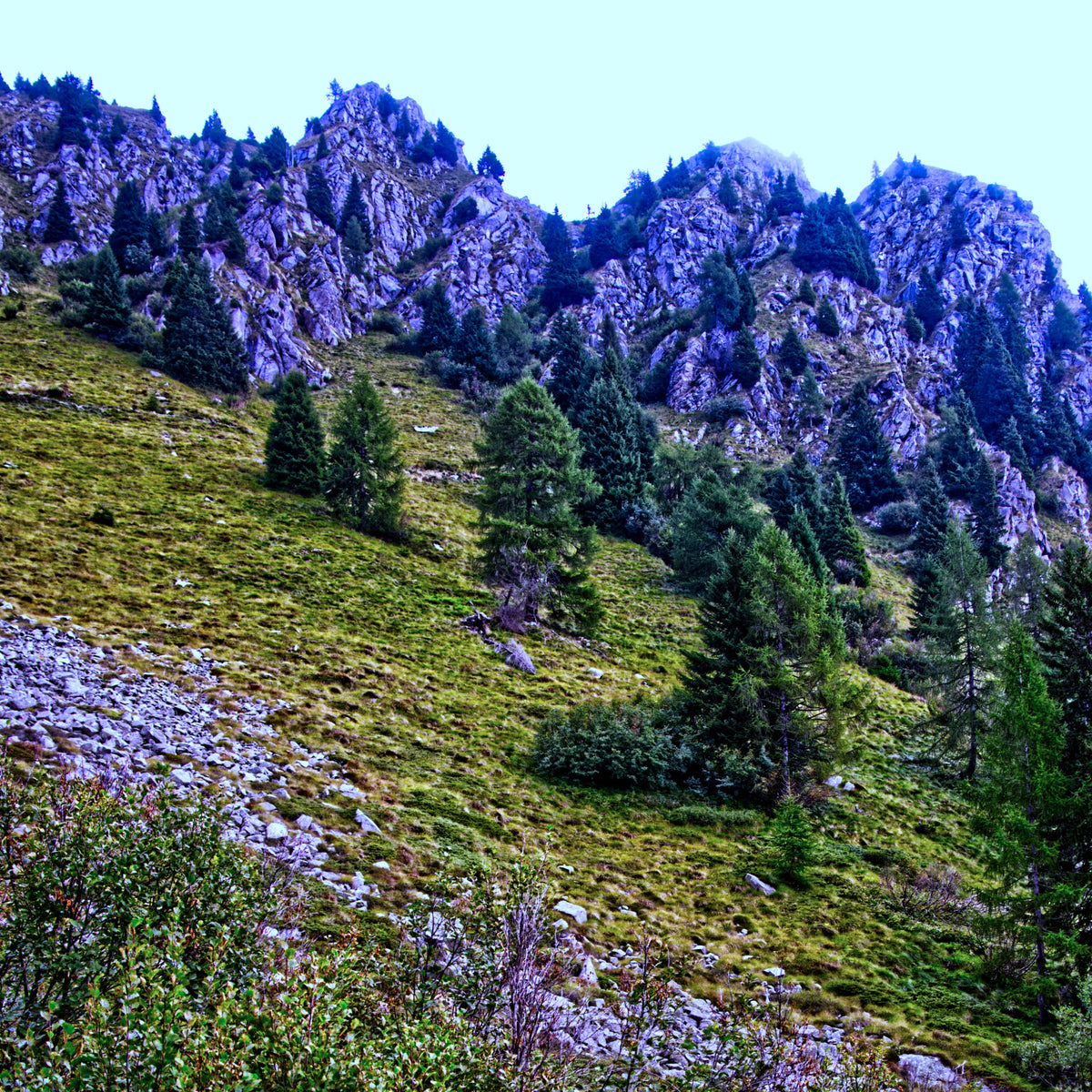 Madonna di Campiglio near Lago Ritort