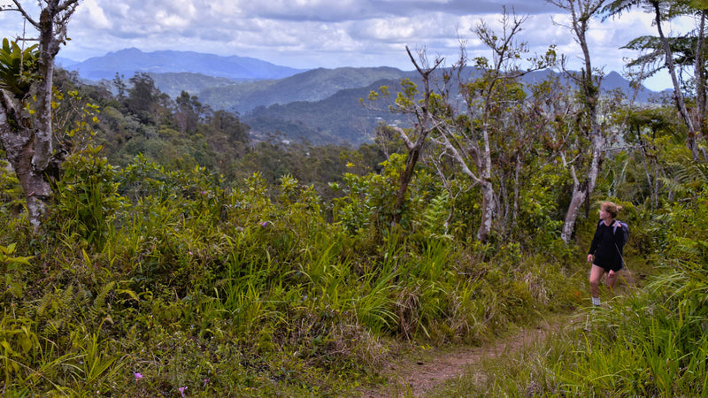 Near the Summit of Monte Guilarte Puerto Rico