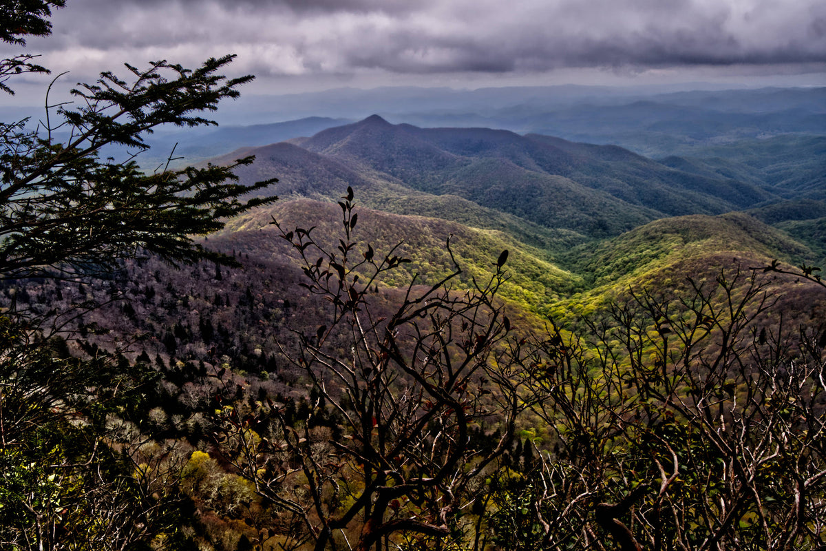 Pilot Mountain from Sassafrass Knob, Pisgah National Forest