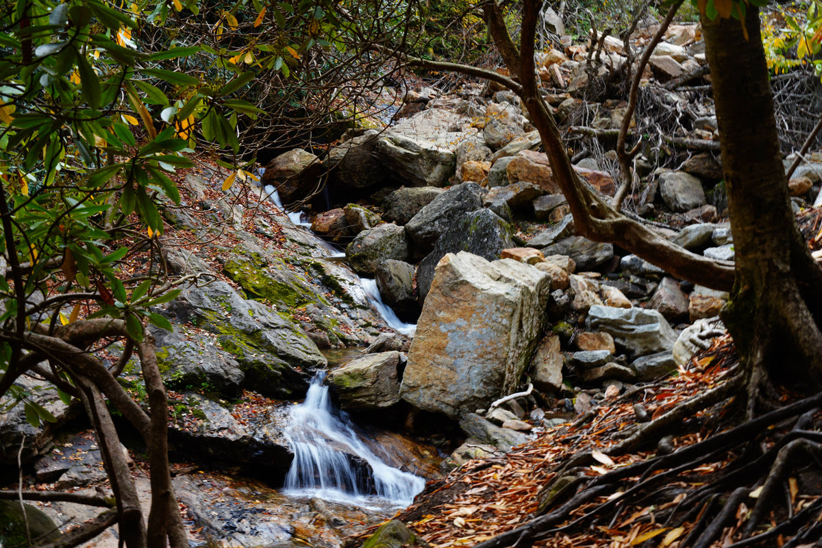 Unnamed Tributary of Yellowstone Prong Shining Rock Wildn.