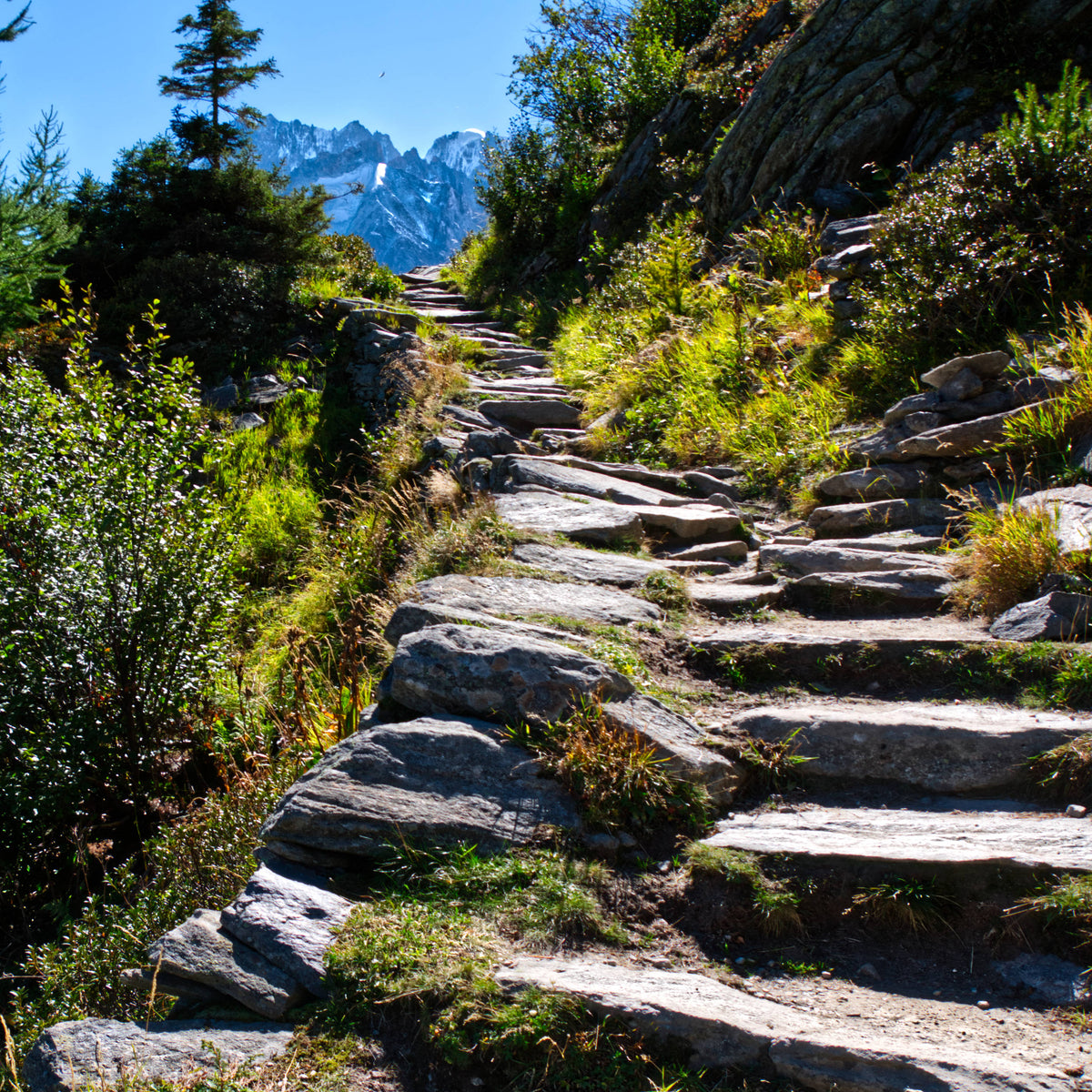 Trail to Montenvers near Chamonix, France