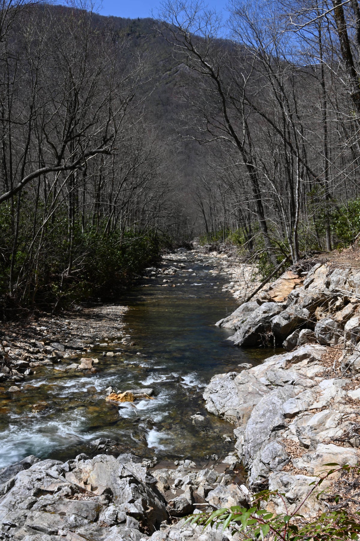 East Fork of the Pigeon River with Old Butt Knob