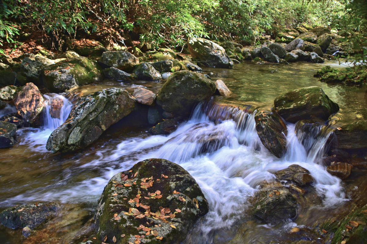 Yellowstone Prong in Pisgah National Forest