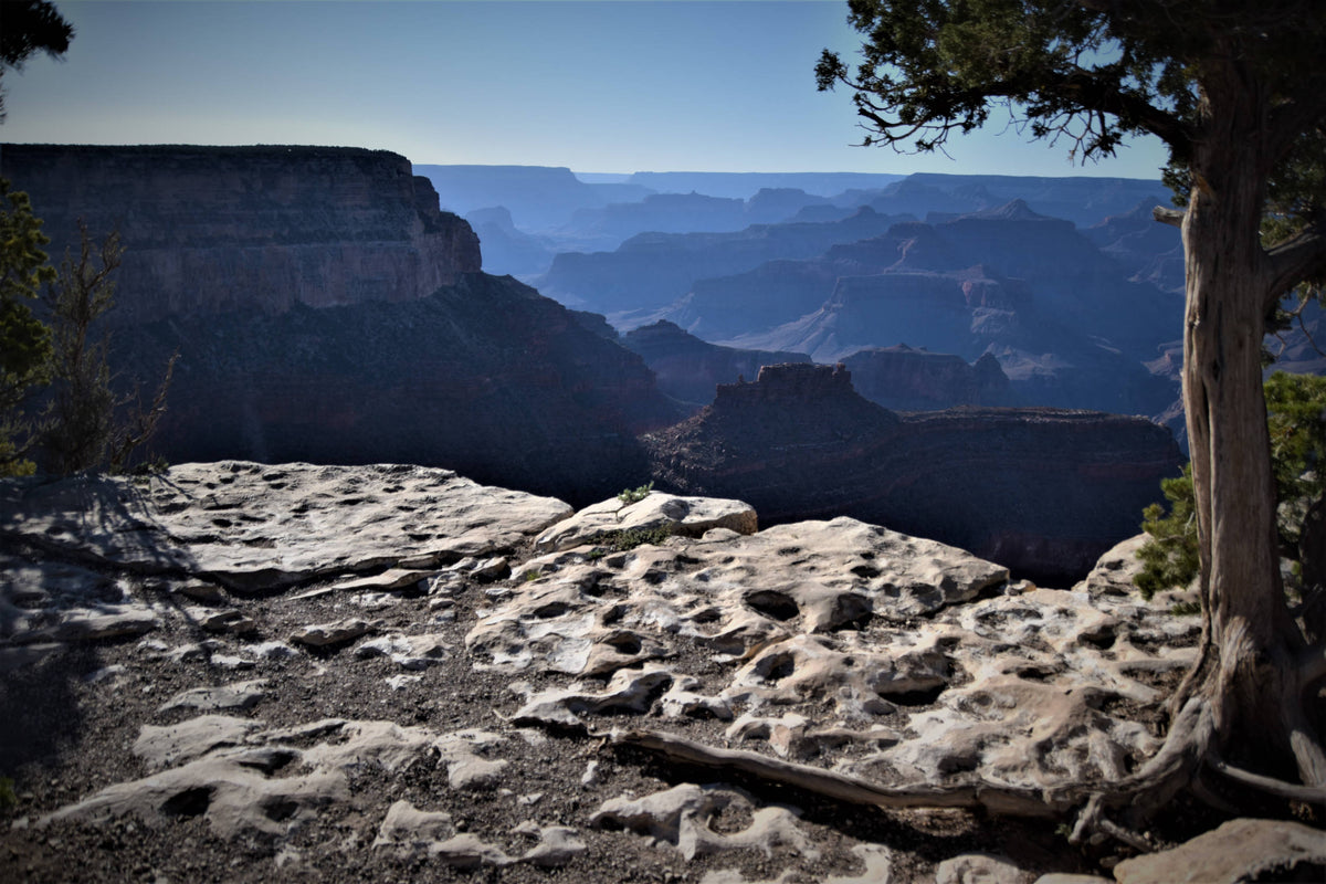 Pockmark Rock, Grand Canyon