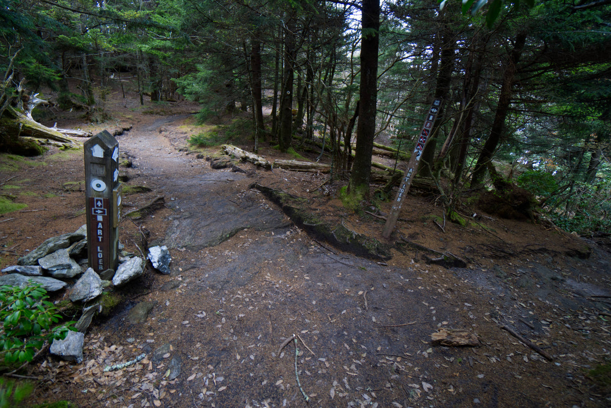 Junction of Art Loeb Trail with Mountains to Sea Trail