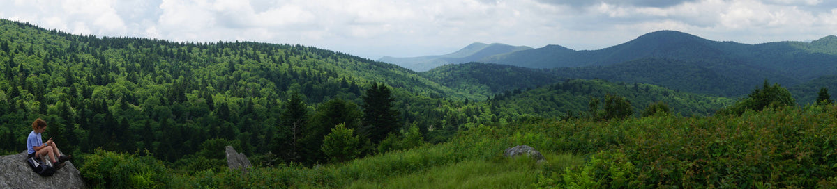 Panorama of Great Balsam Mountains from Fork Ridge Meadow