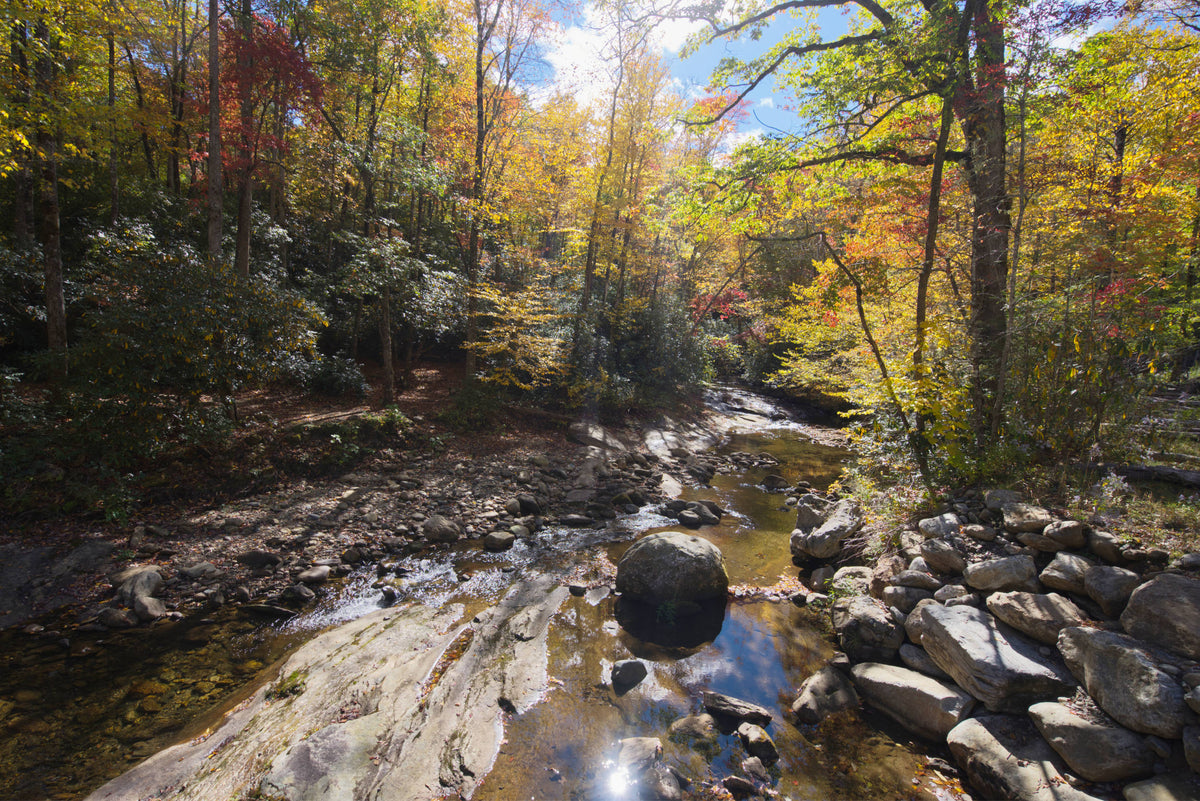 Davidson River near Lanning Ridge Road