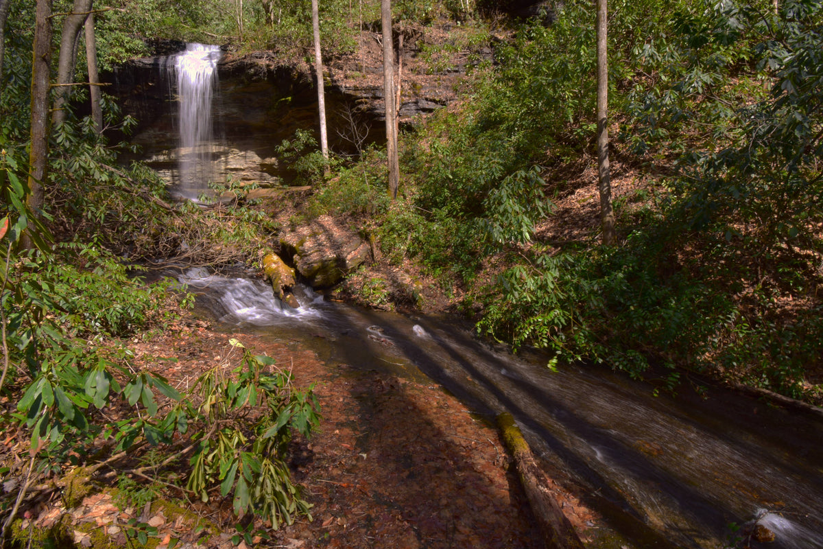 Little Moore Cove Falls