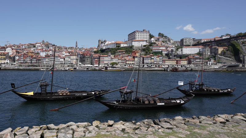 Wine Boats and City Panorama at Porto, Portugal