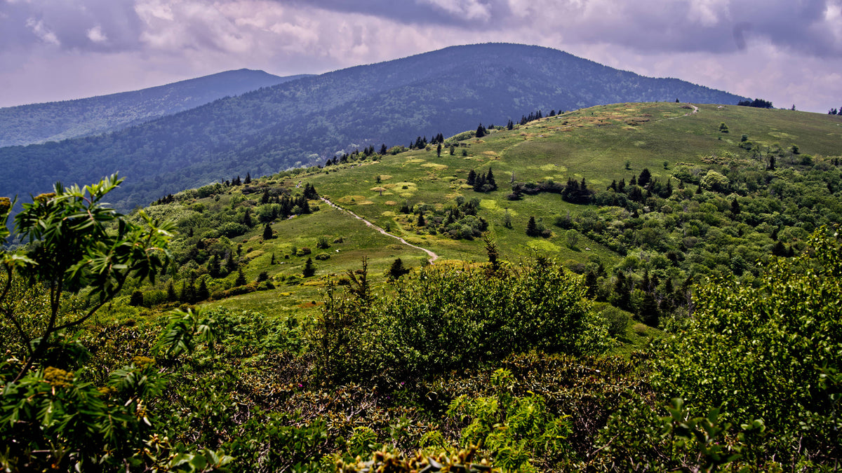 Roan High Knob from Appalachian Trail near Jane Bald