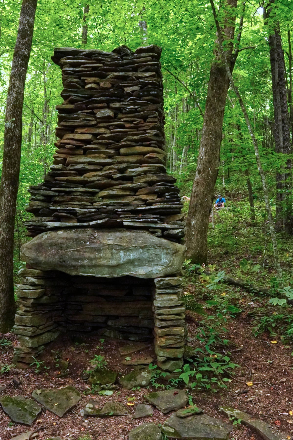 Chimney Remnant from Pressley Home on Pressley Cove Trial