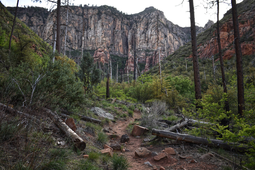 Red Rock Secret Mtn. Wilderness, Arizona