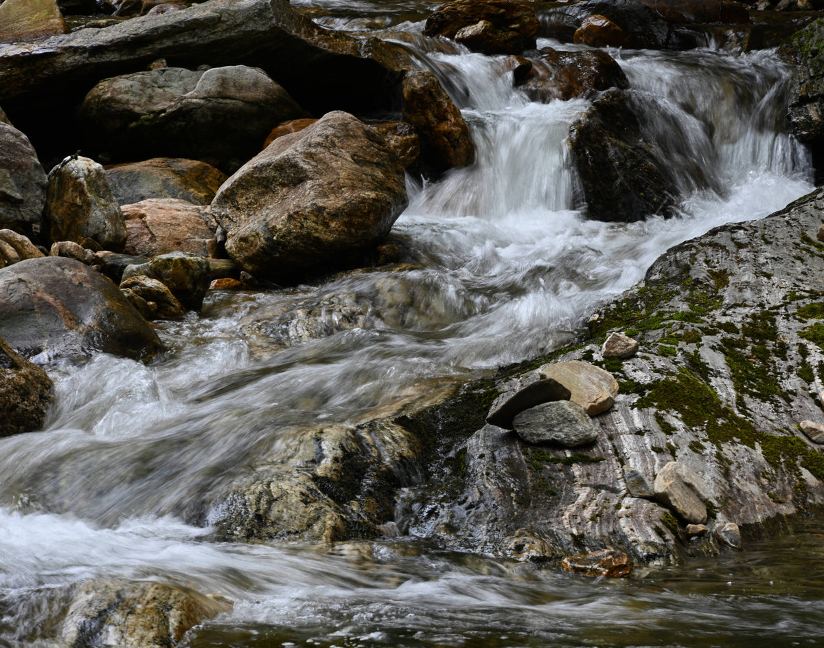 Greasy Cove at Bridges Camp Gap Trail, Shining Rock Wilderness