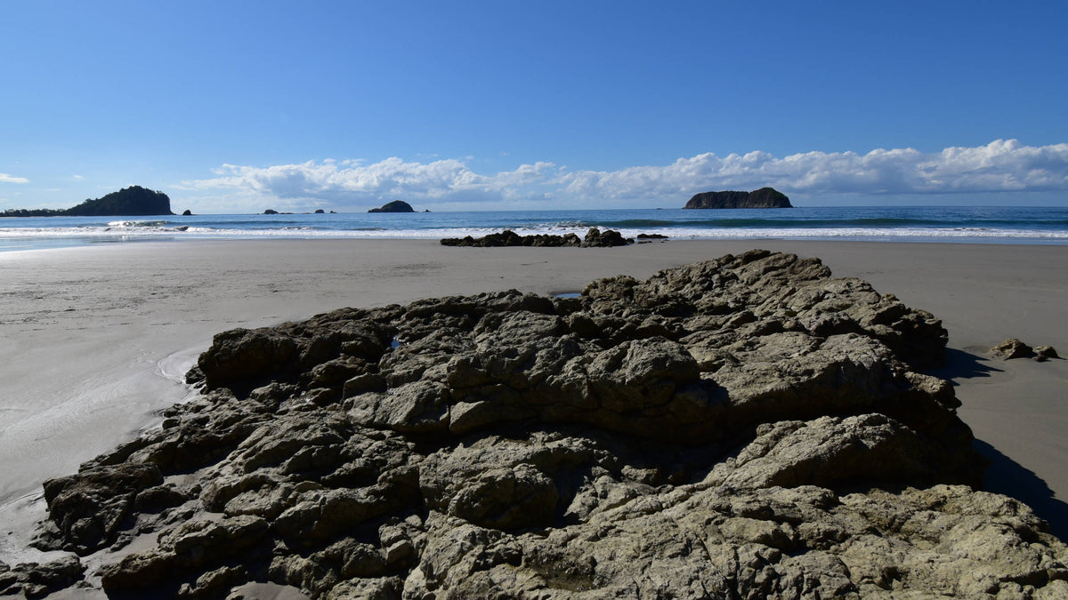The Pacific Coast at Costa Rica