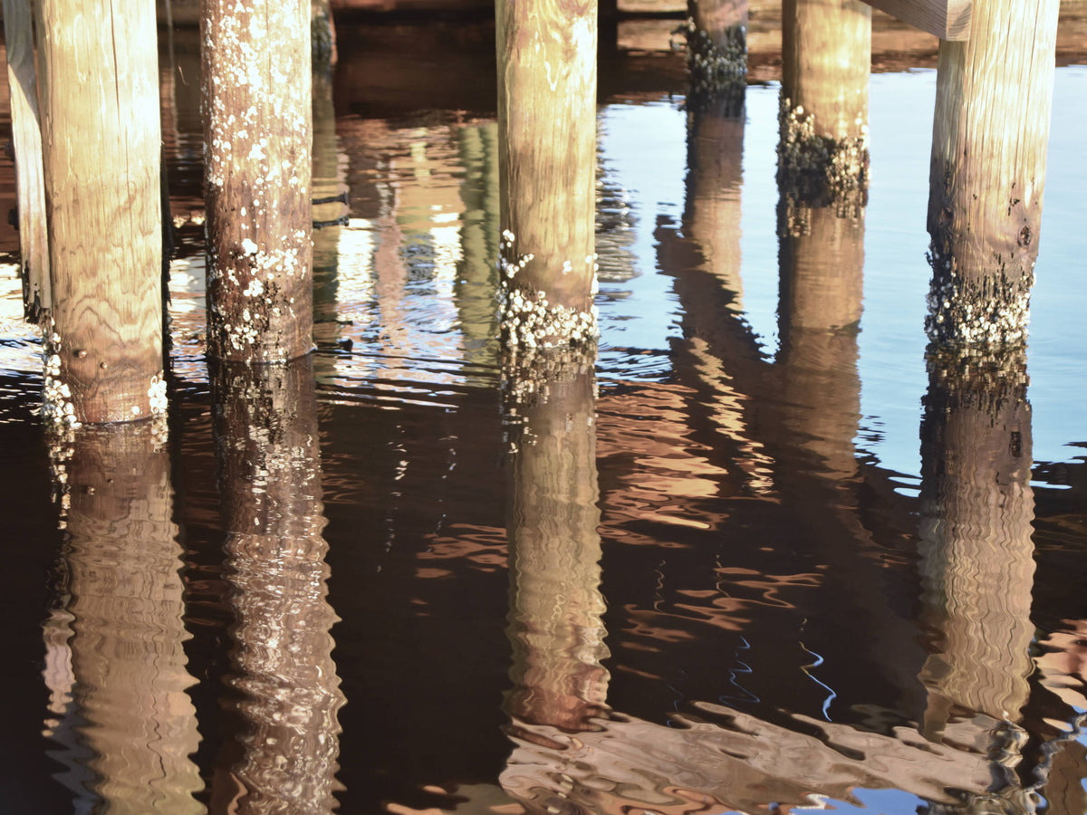 Reflections