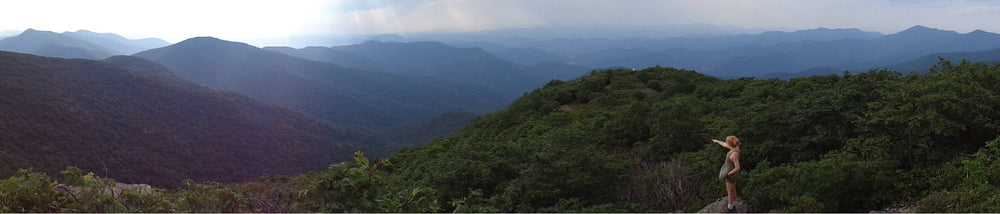 Panorama of the Great Craggy Mountains, North Carolina