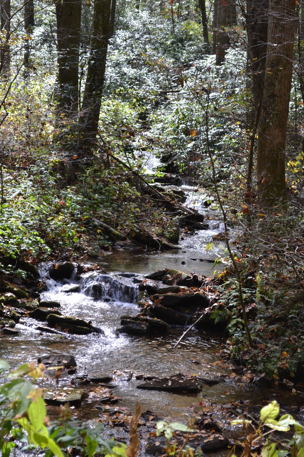 Appalachian Creek