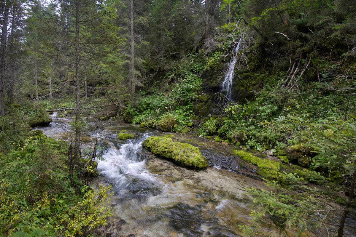 Above the Middle Cascade at Madonna di Campiglio