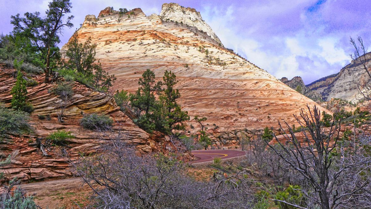 Checkerboard Mesa, Zion National Park