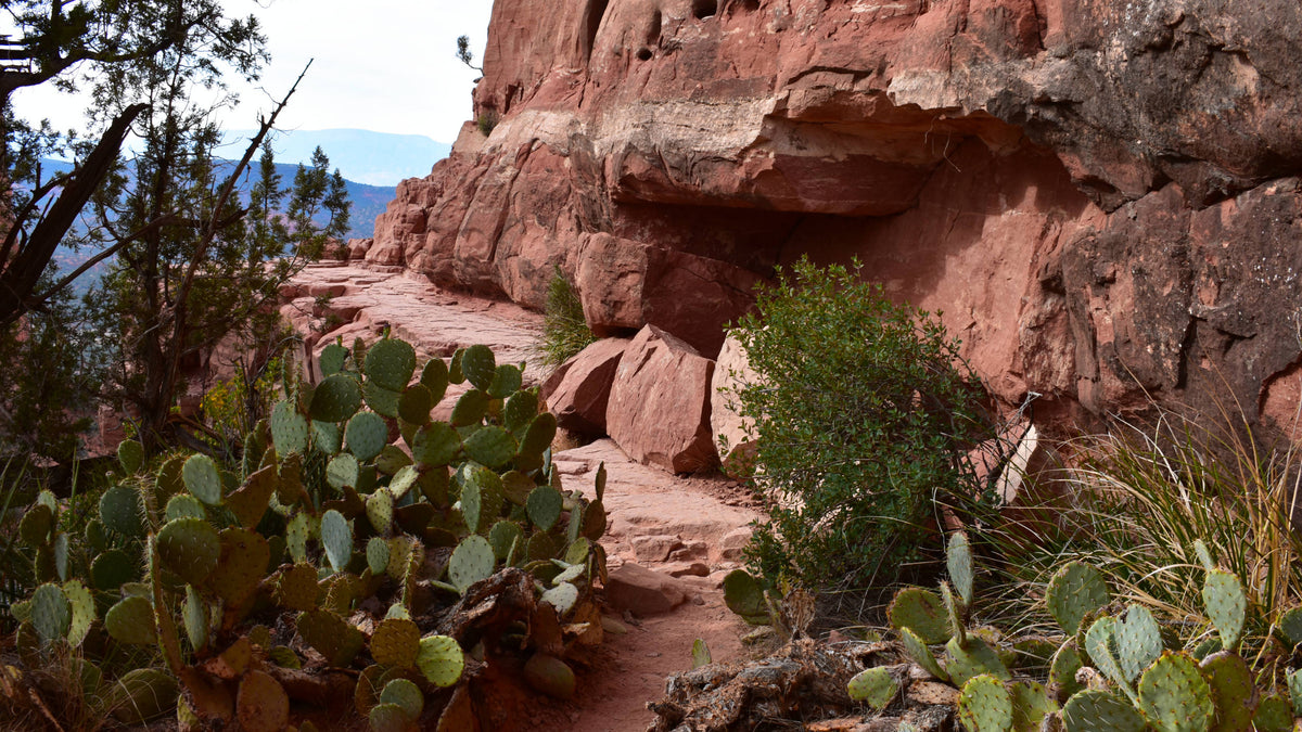 Cathedral Rock