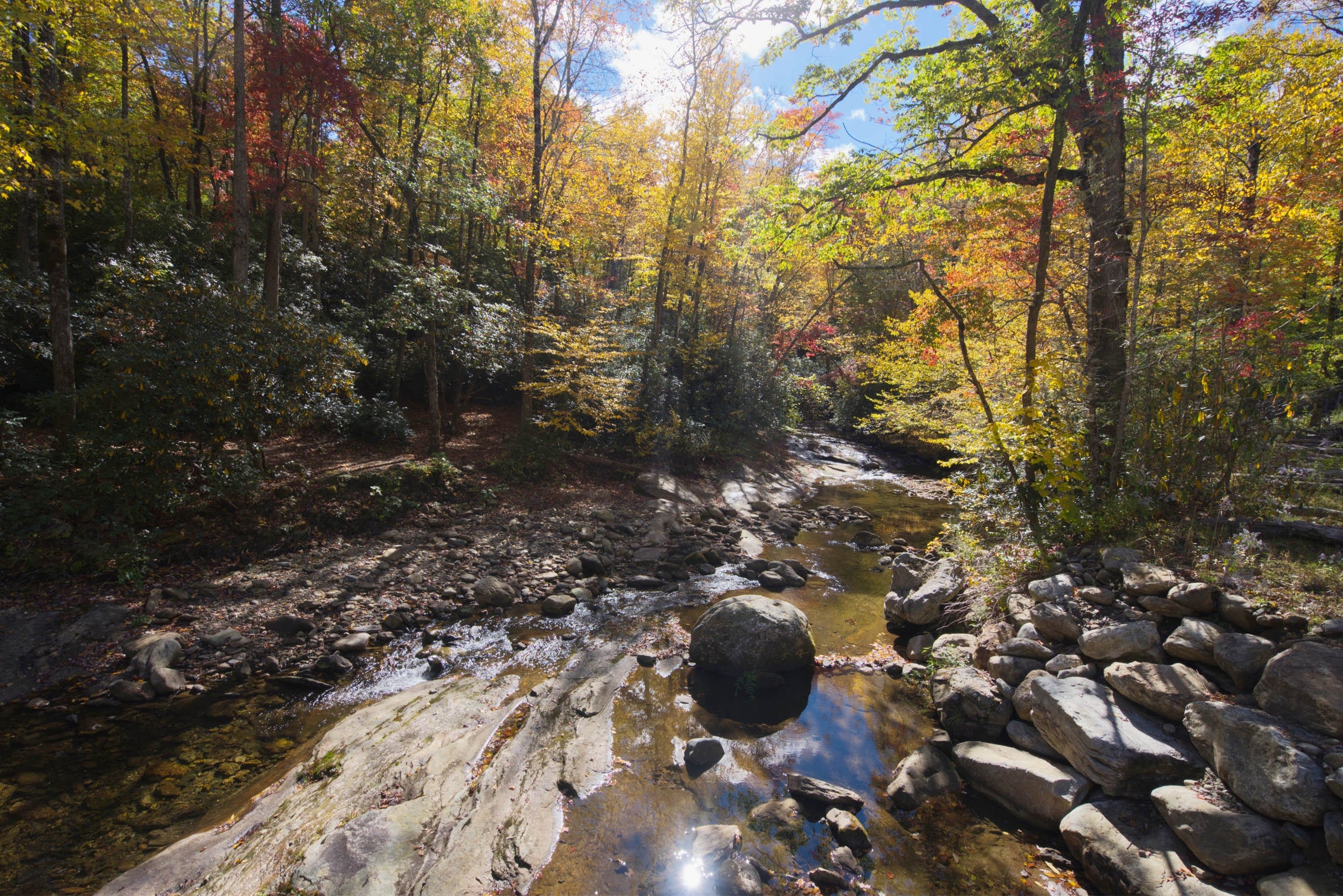Autumn forest along a rocky stream with colorful foliage, 00A Our Favorites.