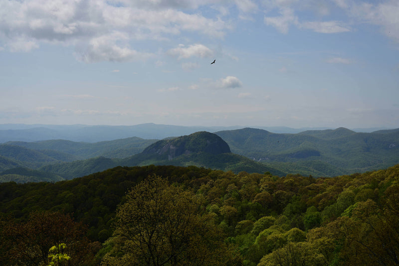 05A Deep in Pisgah National Forest