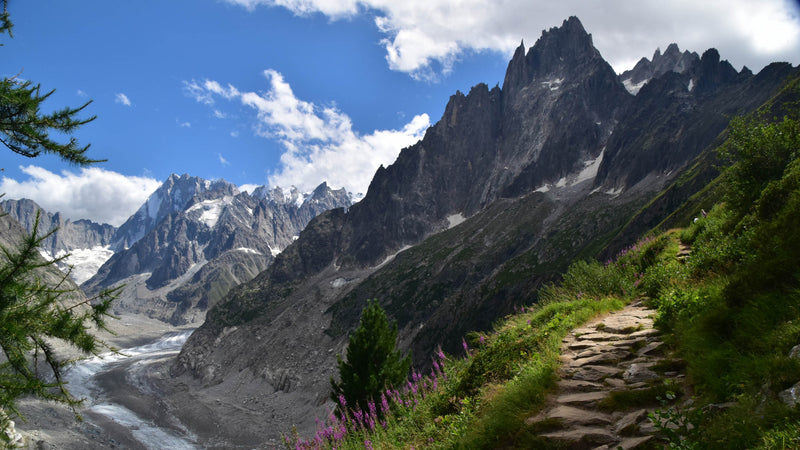 40A Alpine Views and Trails