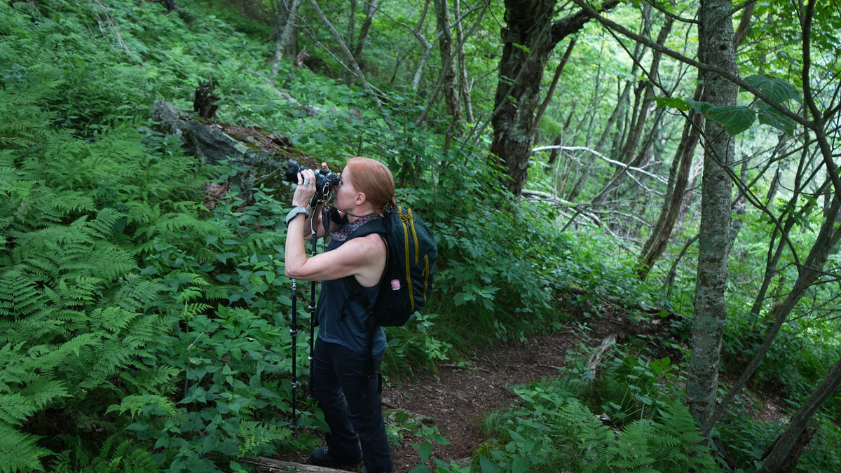 The world through Suzanne’s camera
