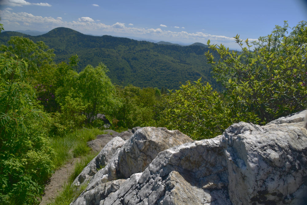 Mt Hardy and Fork Ridge, Pisgah National Forest