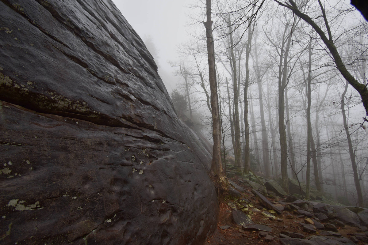 Base of Looking Glass Rock, Pisgah National Forest