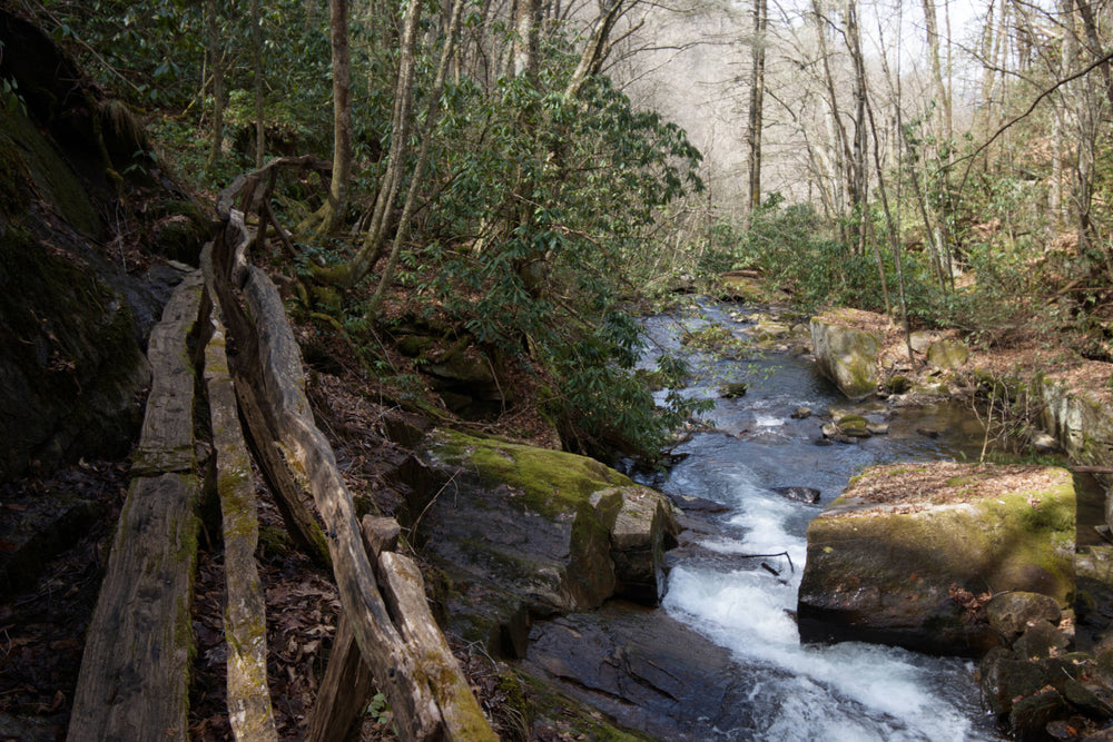 Batson Creek