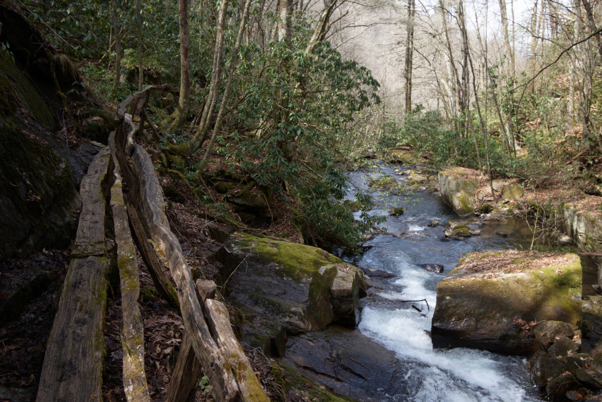Batson Creek