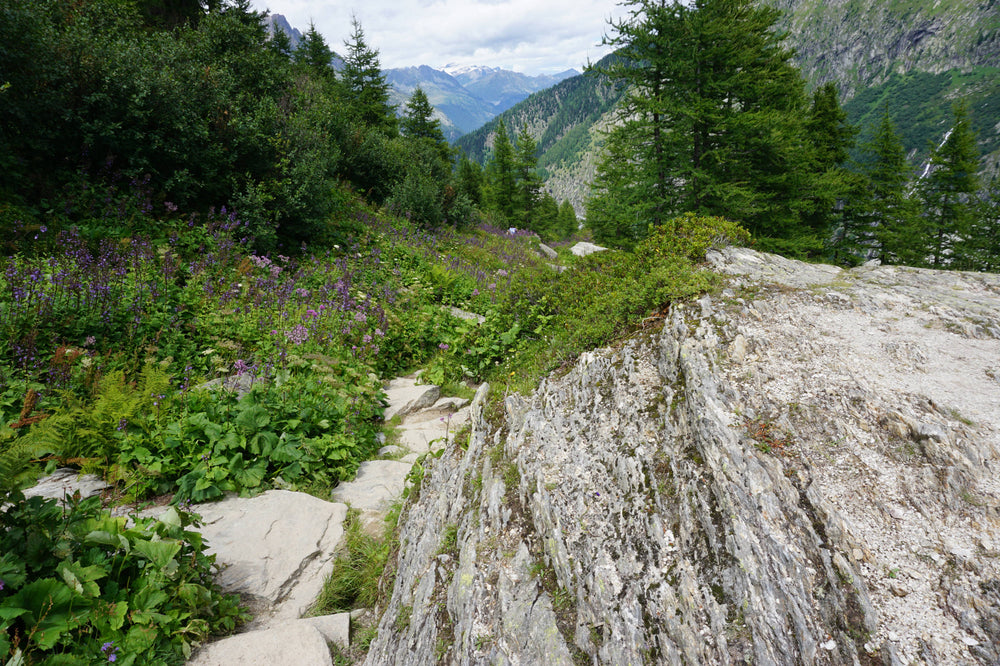 Glacier Valley