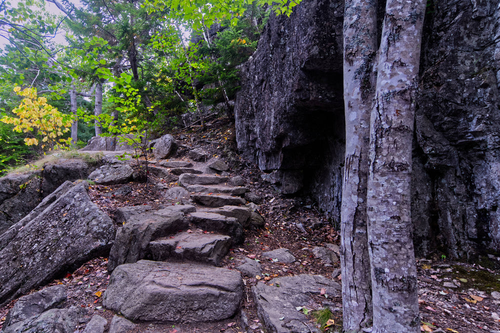 Gorham Mountain Trail Acadia National Park