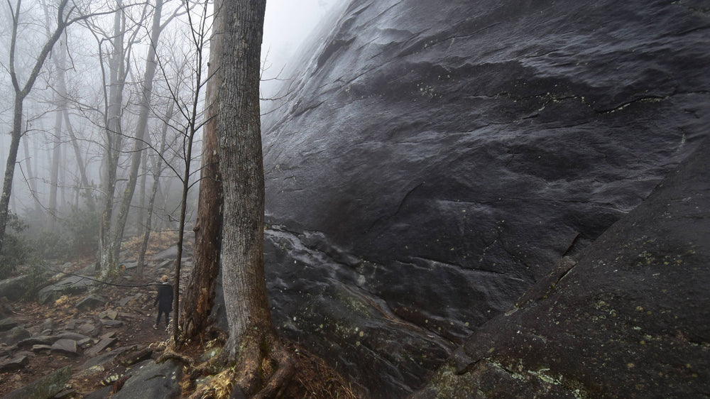 Base of Looking Glass Rock, Pisgah Nat'l Forest