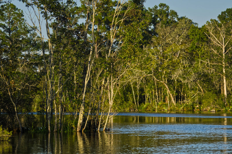 Ortega River, Duval County, Florida