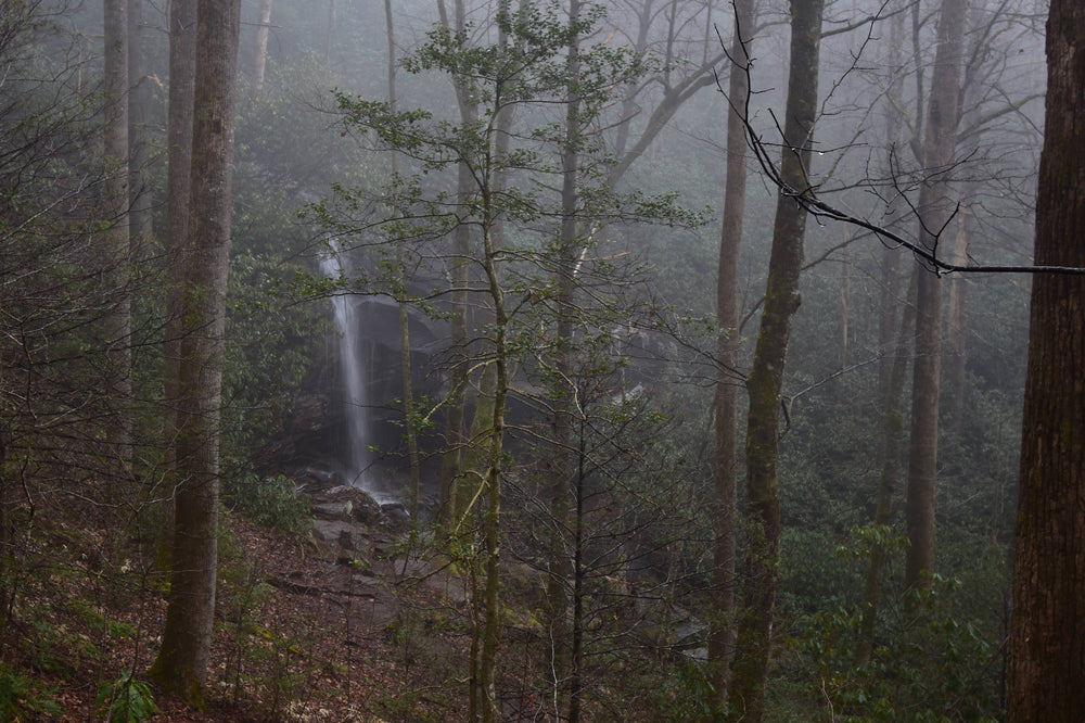 Slick Rock Falls in Pisgah National Forest
