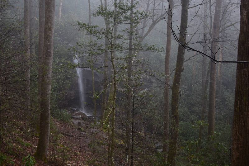 Slick Rock Falls in Pisgah National Forest