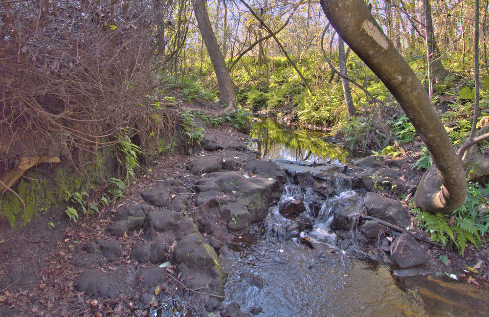 Largest Waterfall in Duval County, Florida
