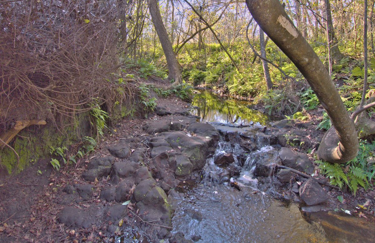 Largest Waterfall in Duval County, Florida