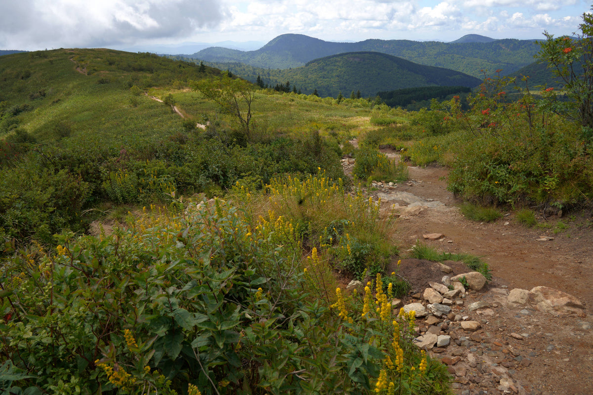 Art Loeb Trail, Pisgah National Forest
